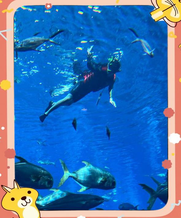 海洋深潜探索赛，深海奇遇之旅