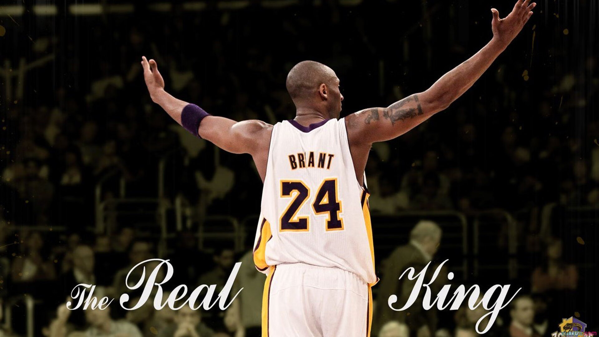 _智绘体育场：未来体育场馆的科技设计_，体育场馆智慧化